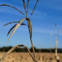 Salon International de l'Agriculture 2023 : le monde agricole face à la transition écologique