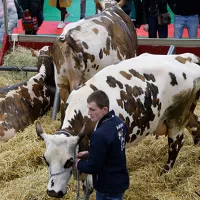 Salon International de l'Agriculture 2023 : quels enjeux pour le monde agricole ?