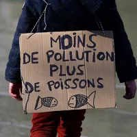 [Sondage] - Les Français face aux défis de la transition écologique