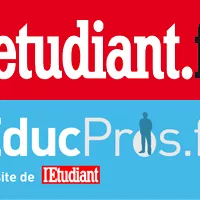 Entrepreneuriat étudiant : décloisonner les formations pour entreprendre