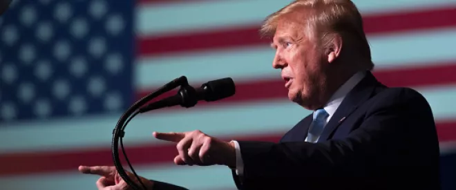 2020: An American Year