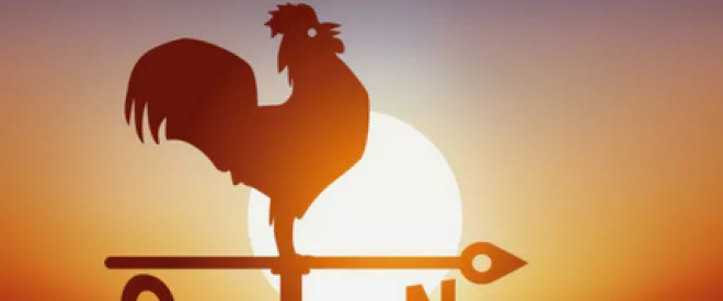 État-actionnaire : une singularité française ?
