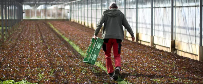 Growing Intra-EU Migrations in the Era of Coronavirus?