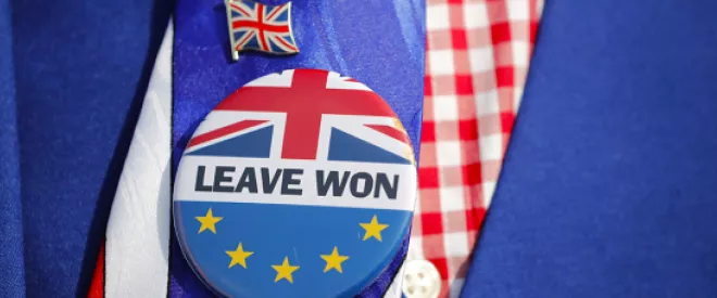 The Question "Will We Leave the EU?" Has Been Answered. But What For?