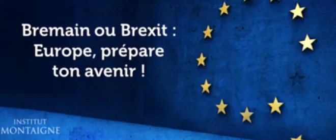 [Nouvelle publication] Bremain ou Brexit: Europe, prépare ton avenir !