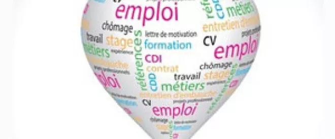 Formation professionnelle : la France, «mono-formateur emblématique»  en Europe