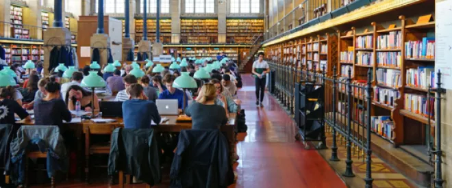 Quels sont les grands défis de l'enseignement supérieur en France ? Trois questions à Peter Todd