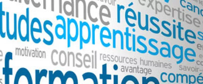 L’apprentissage, parent pauvre du projet de loi sur la formation professionnelle