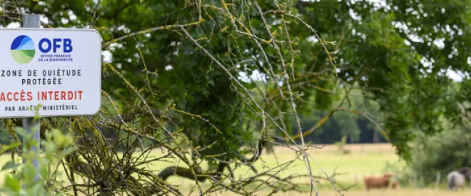 Biodiversité  : de l’urgence d’agir avec les entreprises