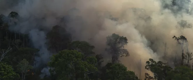 Brazil: From Climate Change Ally to Enemy?