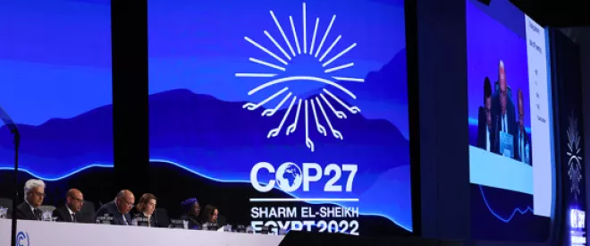 COP27: a Tale of Reparation, Confrontation, Competition, and Cooperation