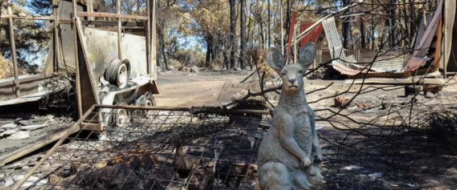 Fighting Climate Change the Australian Way?