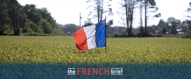 The French Brief - There is More to France than Paris