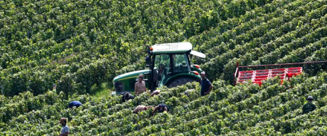 Préparer l’agriculture française aux défis alimentaires