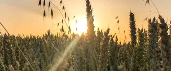 Quel visage pour l'agriculture de demain ?