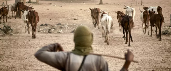 Sahel : dynamiques communautaires et "question peule" - Comment analyser les ferments de la crise, sans avoir une lecture essentialiste de la situation.