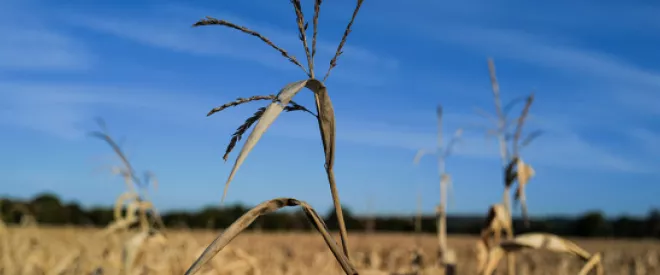 Salon International de l'Agriculture 2023 : le monde agricole face à la transition écologique