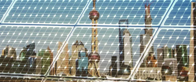 China’s green thumb: a new paradox? 
