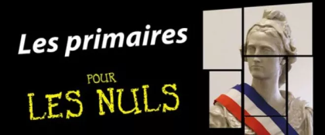 Tout ce que vous devez savoir sur les primaires et comment les rendre pleinement démocratiques