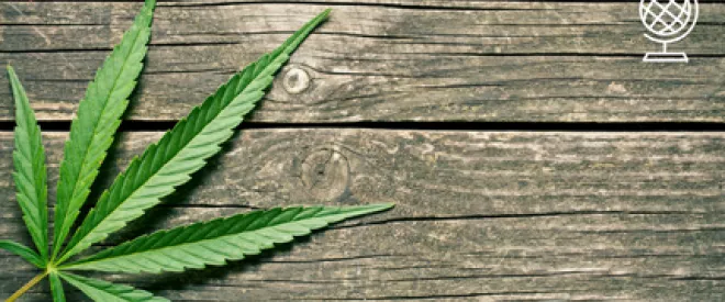 [Vu d’ailleurs] Sanction, dépénalisation ou légalisation du cannabis
