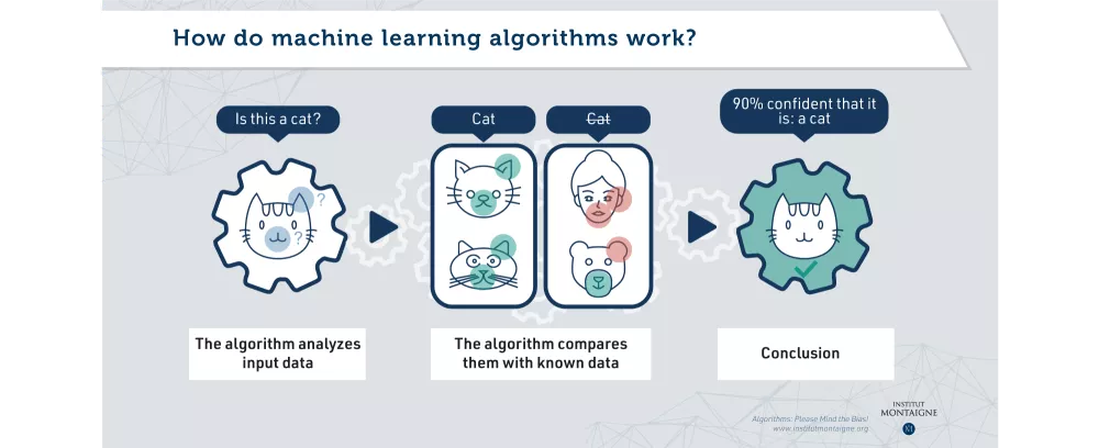 Algorithms please mind the biais - Infographie : how do machine learning algorithms work?