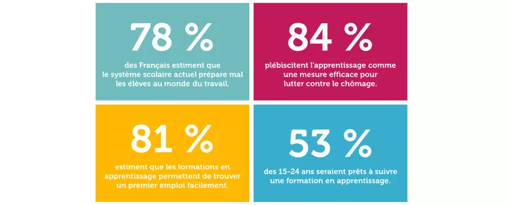 Sondage : les Français et l'apprentissage