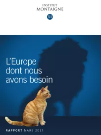 <p><strong>L'Europe</strong></p>

<p>dont nous avons besoin</p>
