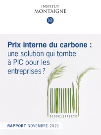 <div><strong>Prix interne du carbone : </strong></div>

<div><span class="titre-petit">une solution qui tombe à PIC pour les entreprises ?</span></div>
