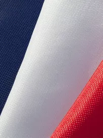 <p><strong>Rebuilding France’s<br />
National Security</strong></p>
