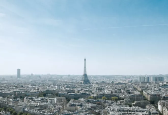 The French Brief